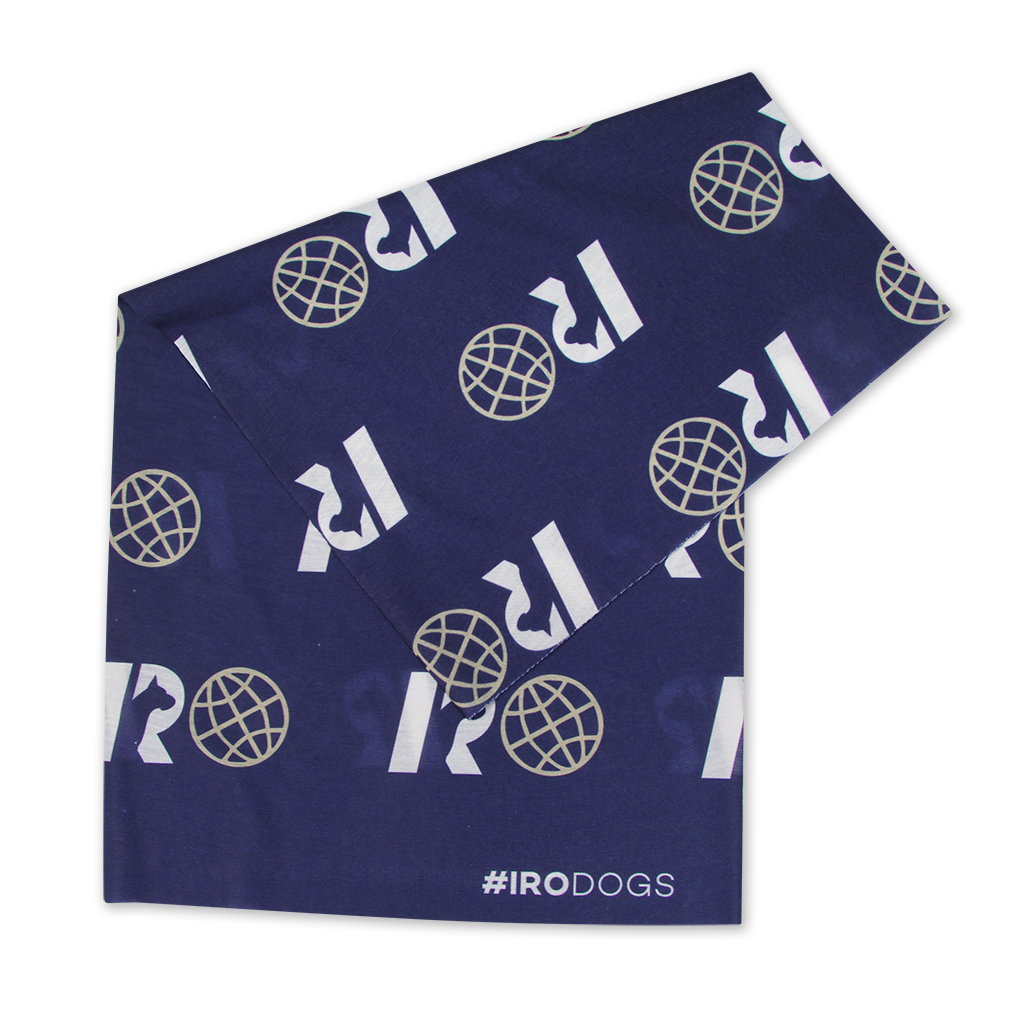 Abbildung des Multifunktionstuchs